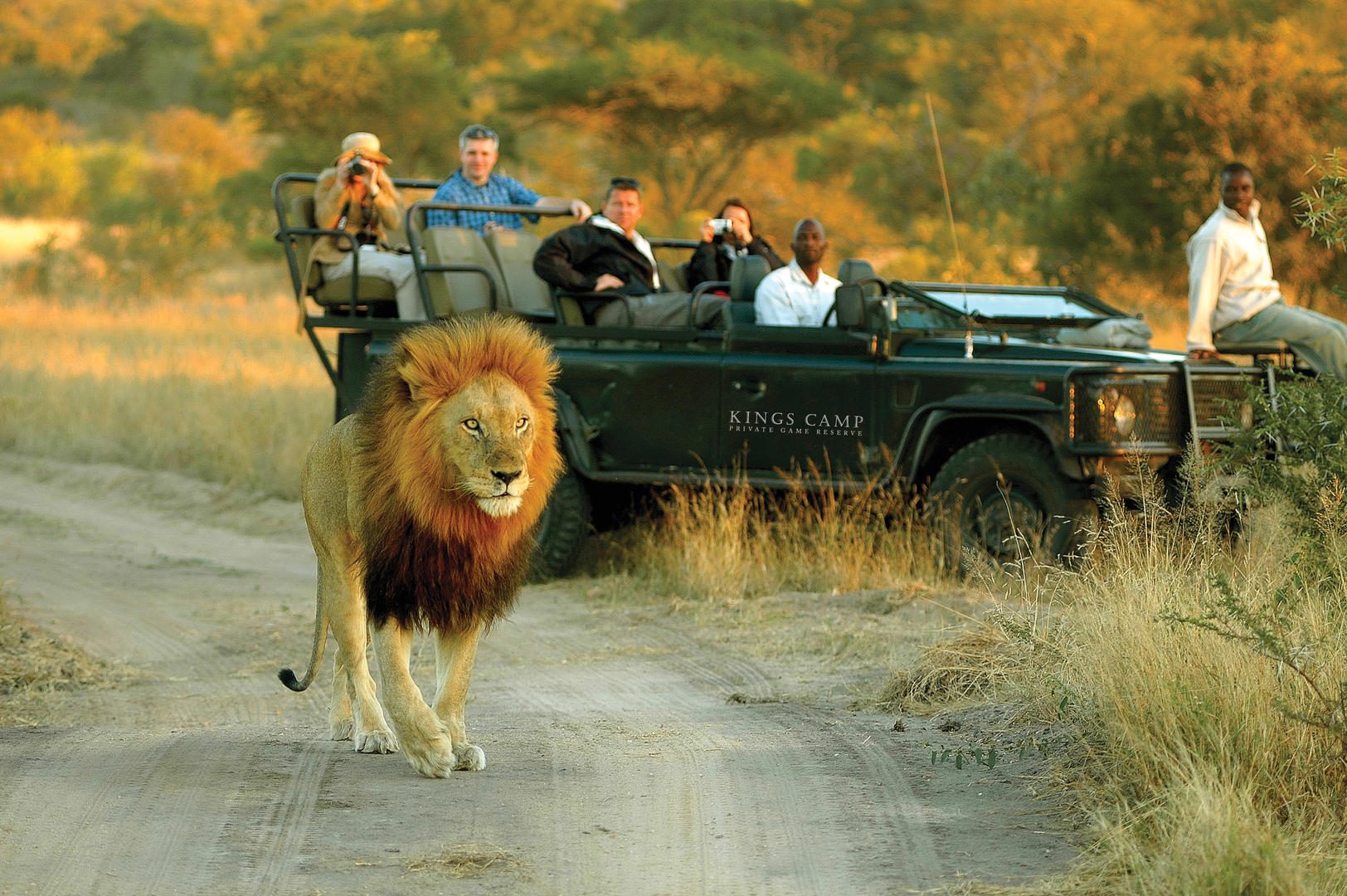 kings camp timbavati kruger national park (17)