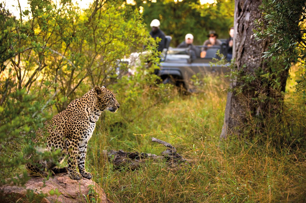 lion sands river lodge sabi sands lodges reservations (20)