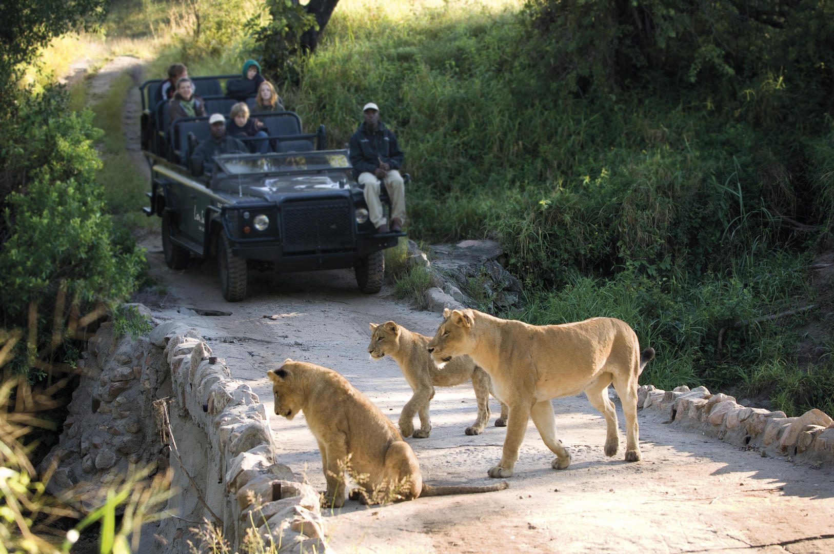 lion sands river lodge sabi sands lodges reservations (22)