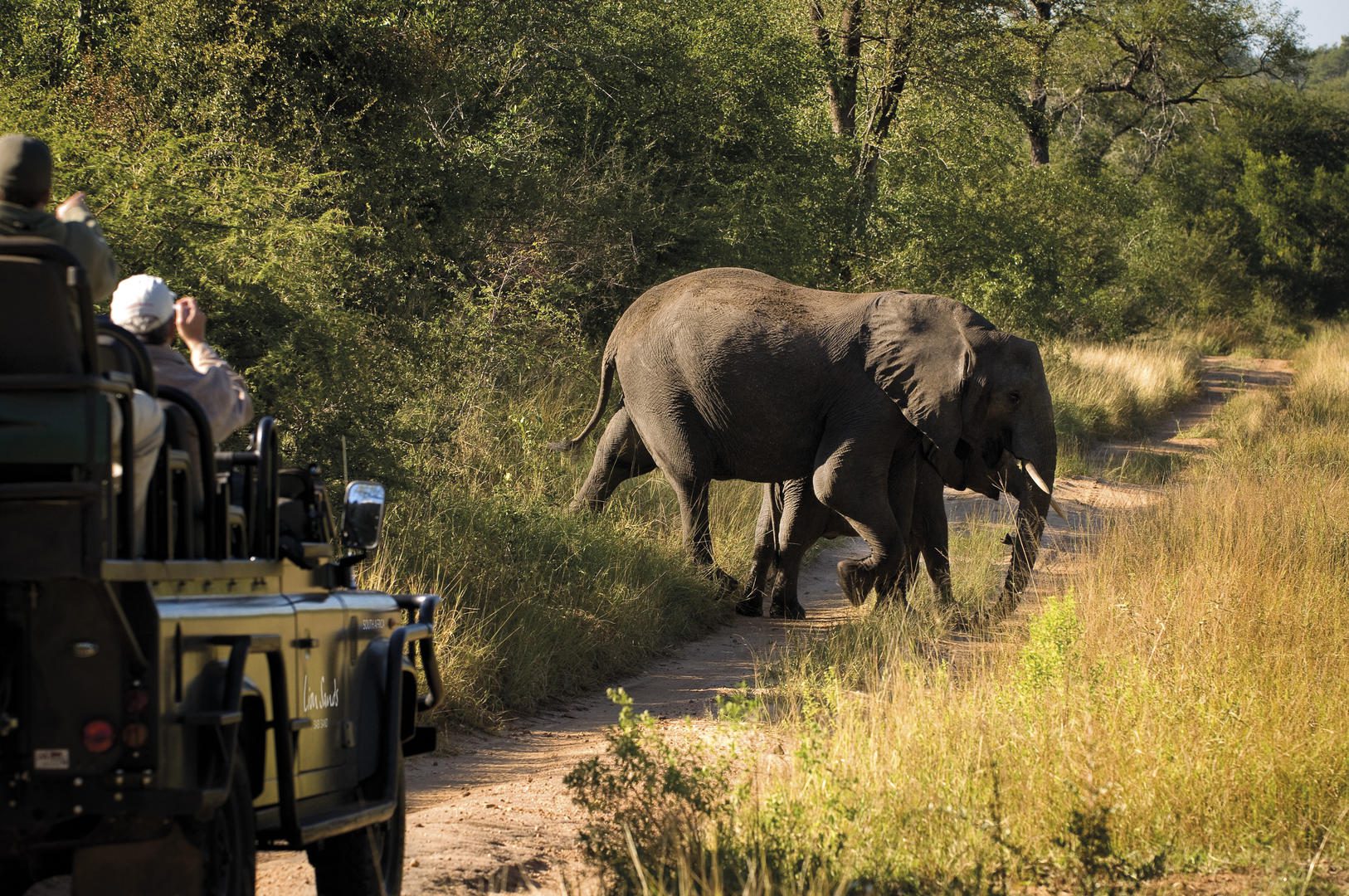 lion sands river lodge sabi sands lodges reservations (76)