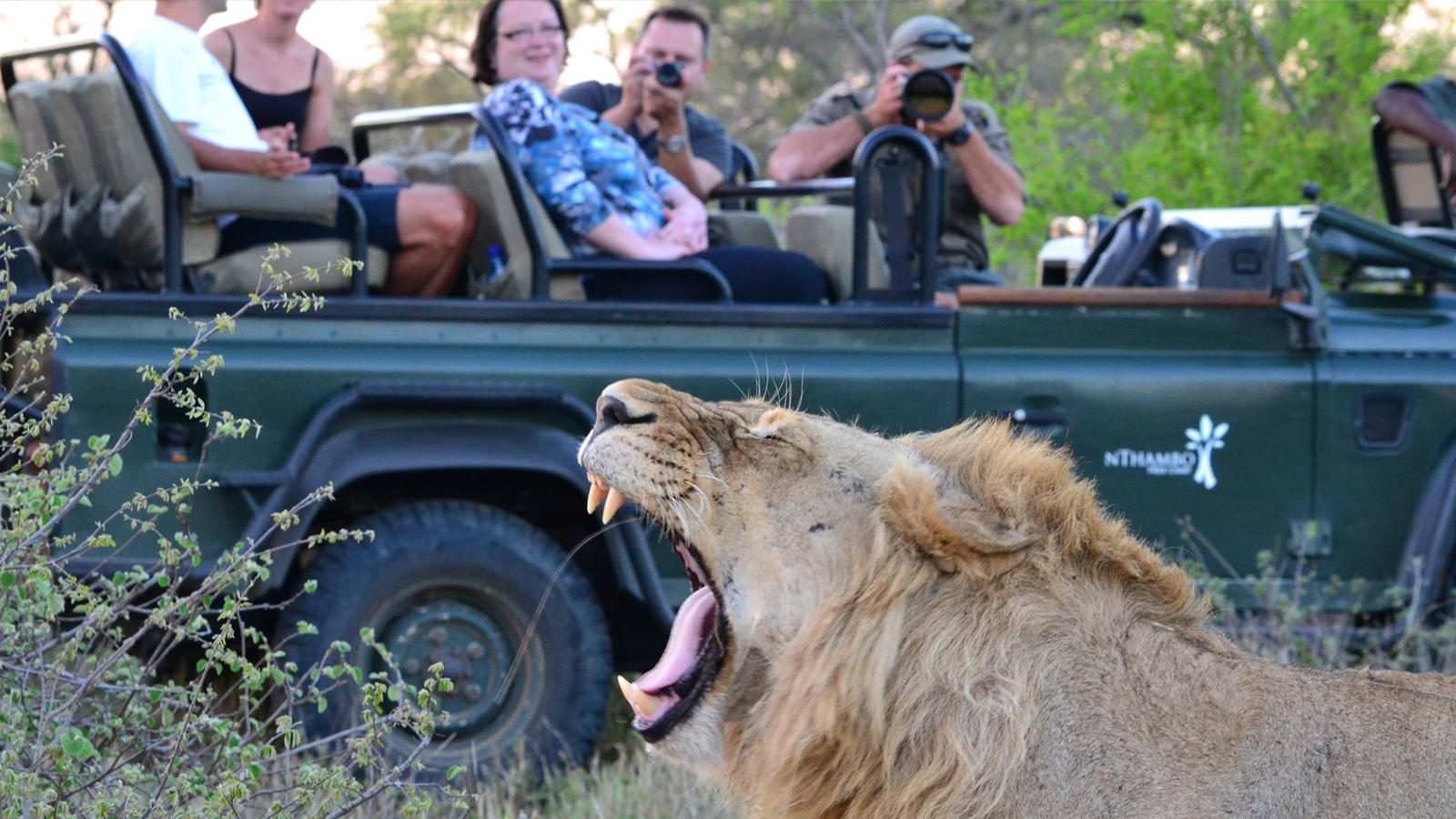 nthambo tree camp kruger national park (35)