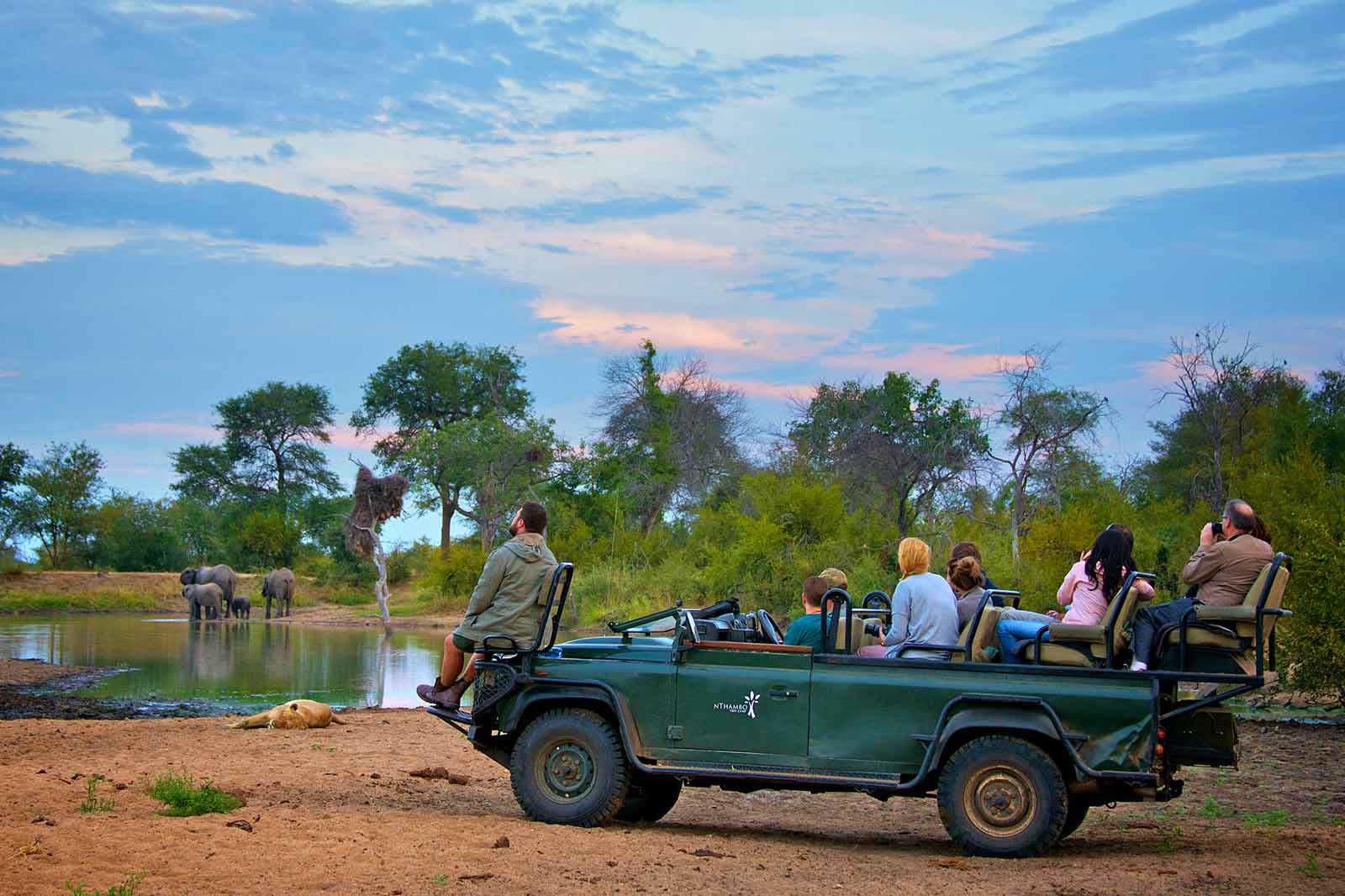 nthambo tree camp kruger national park (38)