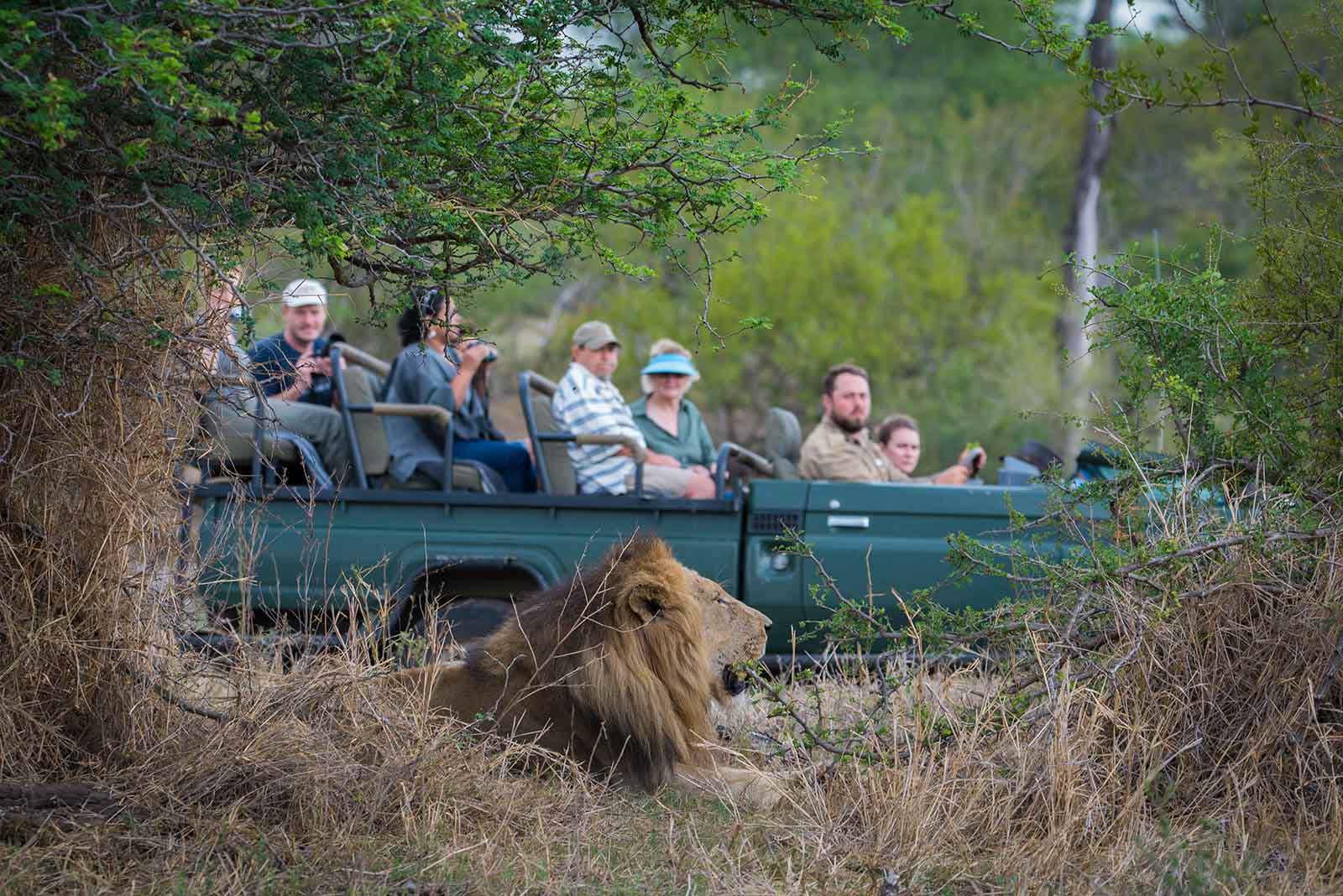 nthambo tree camp kruger national park (49)