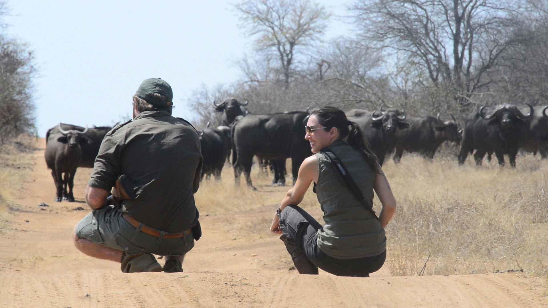 nthambo tree camp kruger national park (5)