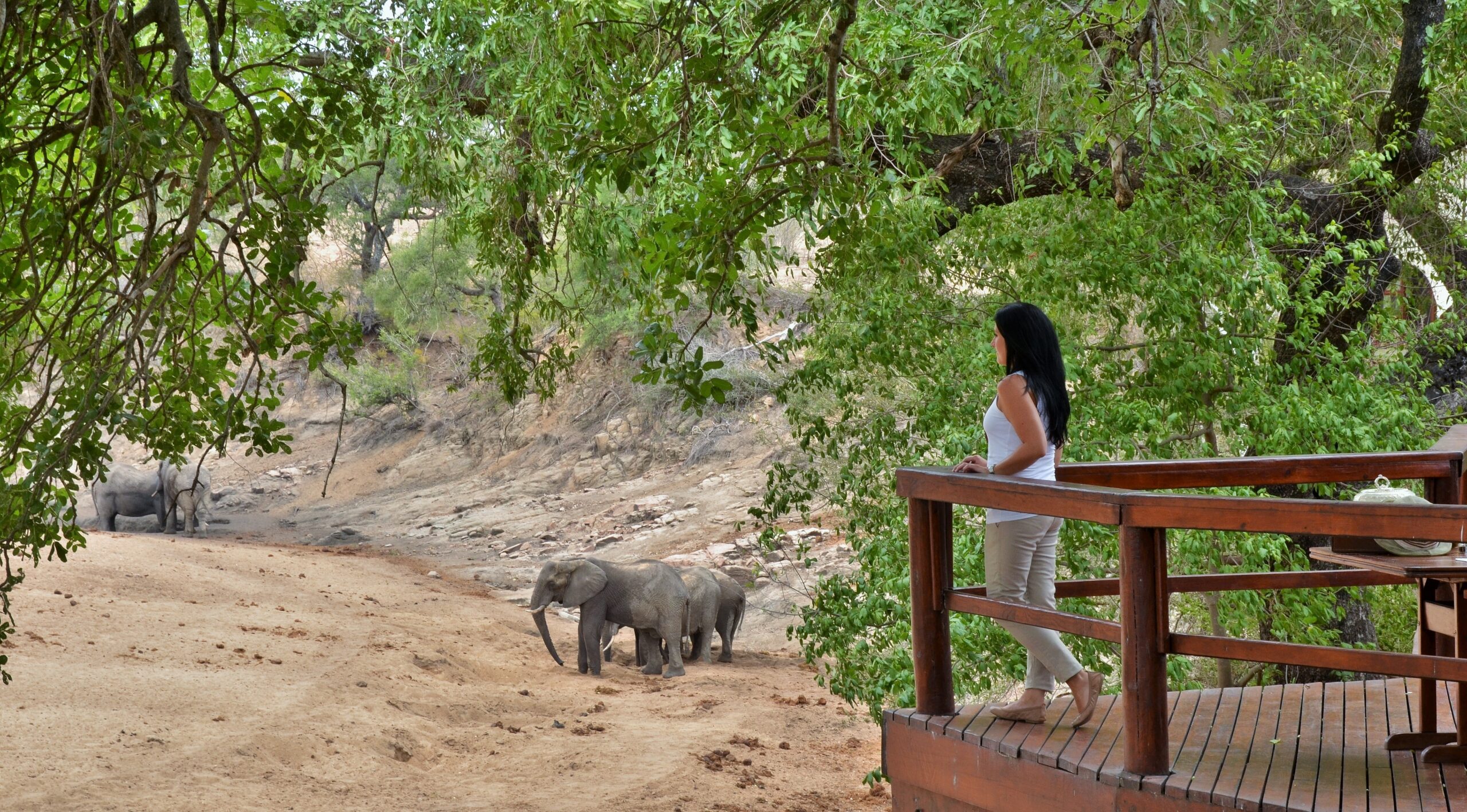 Hamiltons Tented Camp   Images   Kruger Naional Park (12)