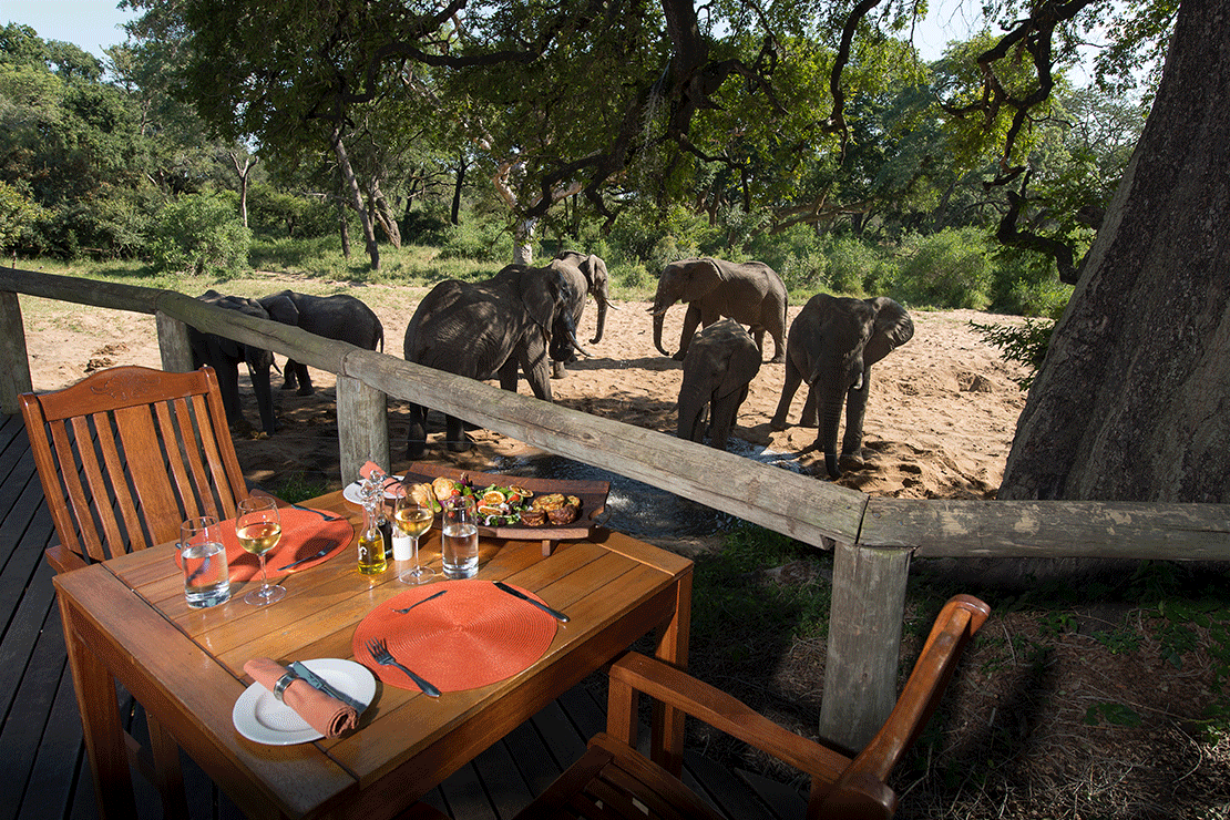 Tintswalo Safari Lodge images (27)