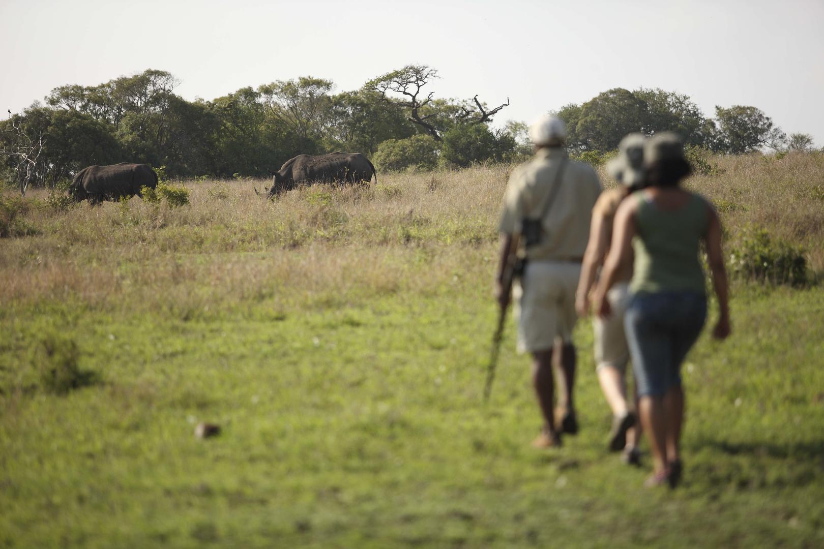 phinda game reserve phinda mountain lodge images (43)