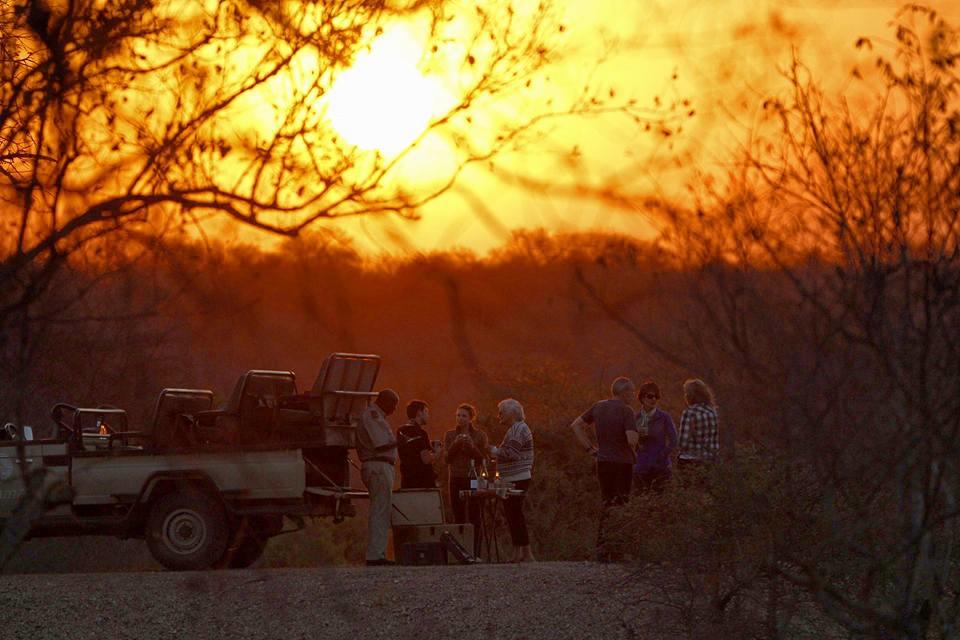 kapama river lodge african safari direct (37) Copy