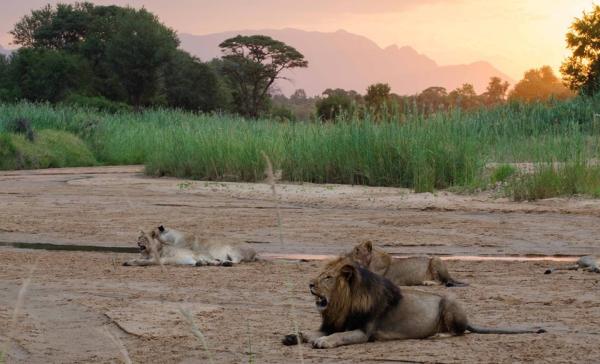 shiduli private game lodge view of sunset one karongwe