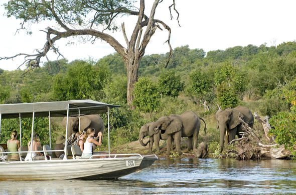 chobe chilwero lodge boat safari