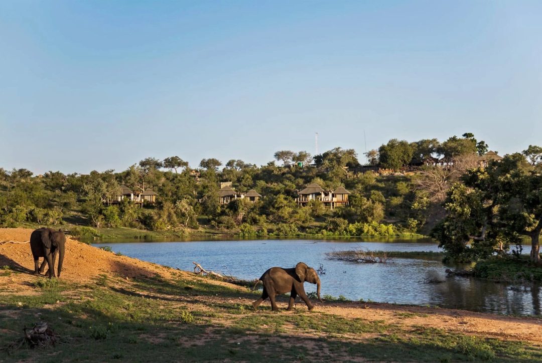 simbavati hilltop lodge landscape view wildlife